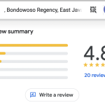 Review Google My Business – neTurmeric